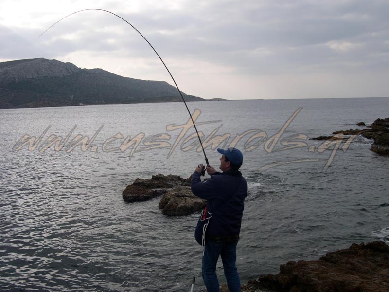 This image for Image Layouts addon