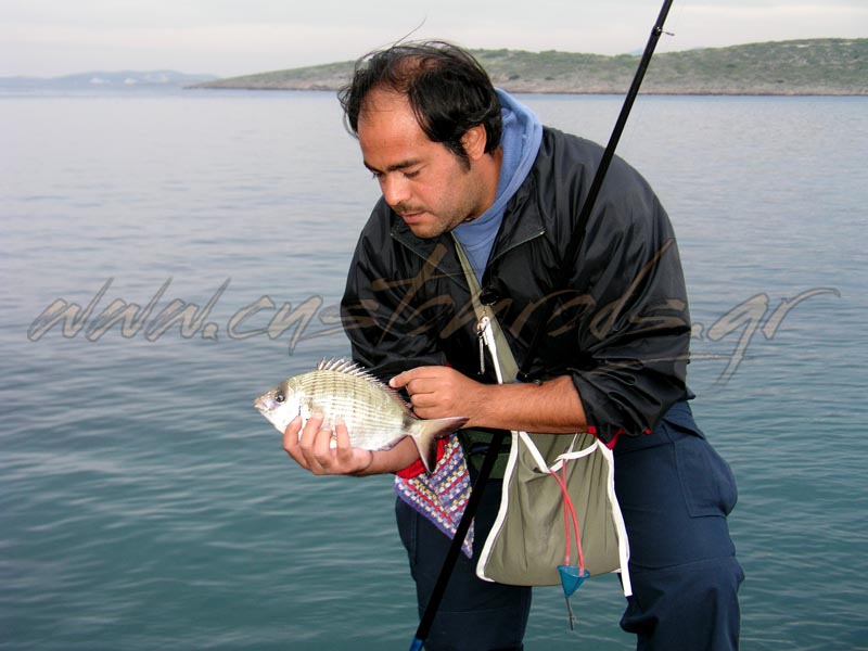 This image for Image Layouts addon