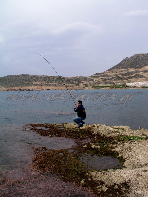 This image for Image Layouts addon